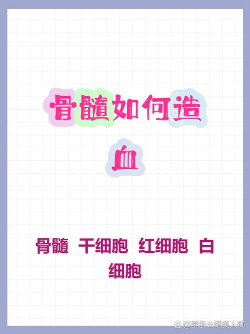 它就像一个超级工厂,24小时不停歇地生产血细胞,维持我们的生命活力